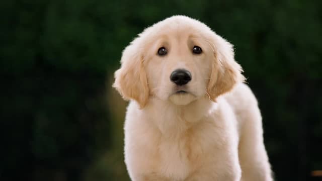 S02:E01 - The Constellation Fades