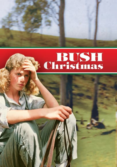 Bush Christmas
