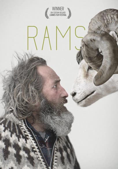 Rams