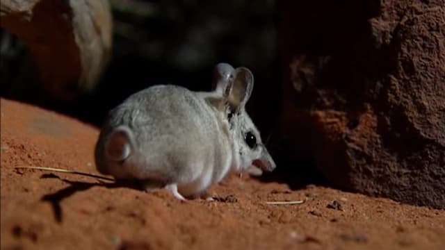 S01:E01 - Separados del mundo