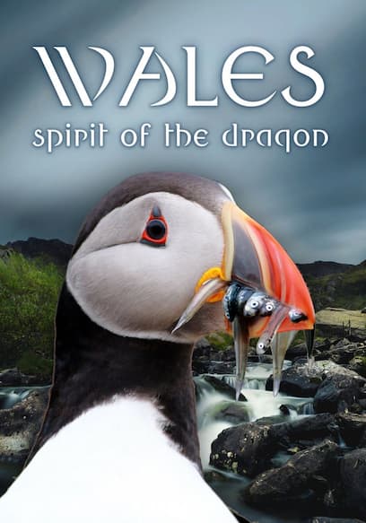 Wales: Spirit of the Dragon