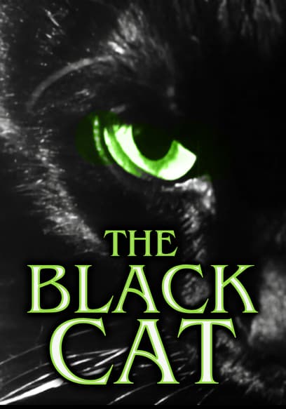 The Black Cat