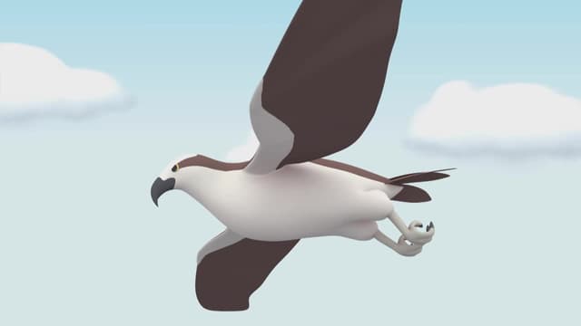 S01:E19 - White-Bellied Sea Eagle