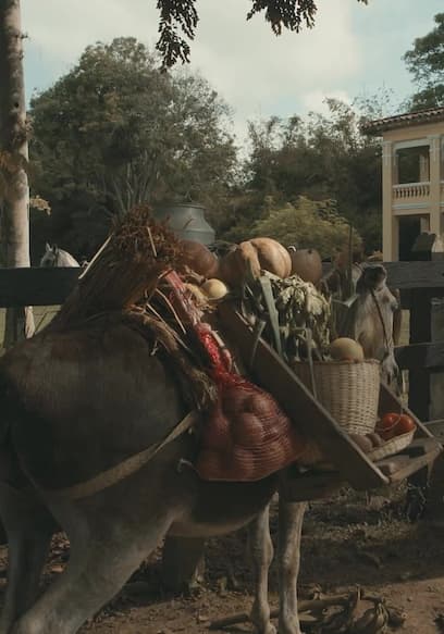 S01:E06 - Episodio 6 poster