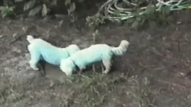 S09:E02 - Episode 2