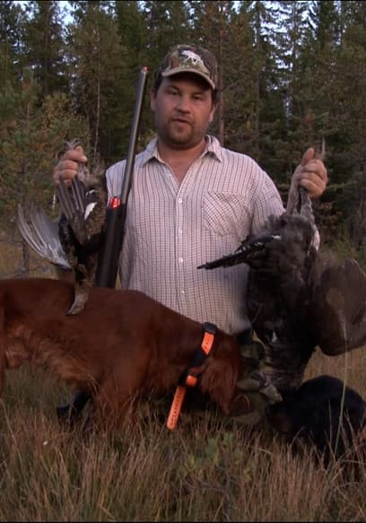 Póster de S01:E04 - Hunting Capercaillie With Pointing Dogs and Moving Into the Shelter