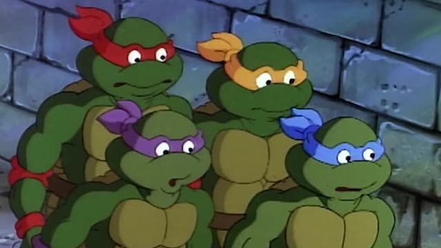 S04:E18 - Slash - The Evil Turtle From Dimension X