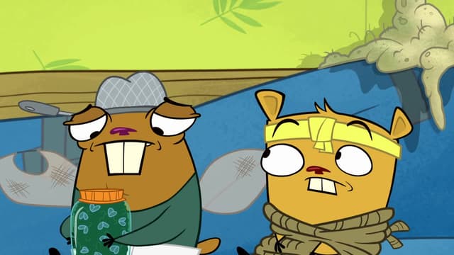 S01:E23 - S01:E12A - Fly Shui