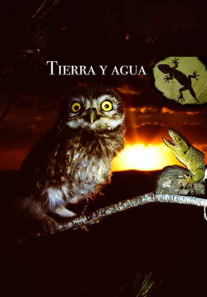 Tierra Y Agua