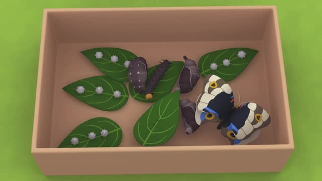 S01:E49 - Blue Pansy Butterfly