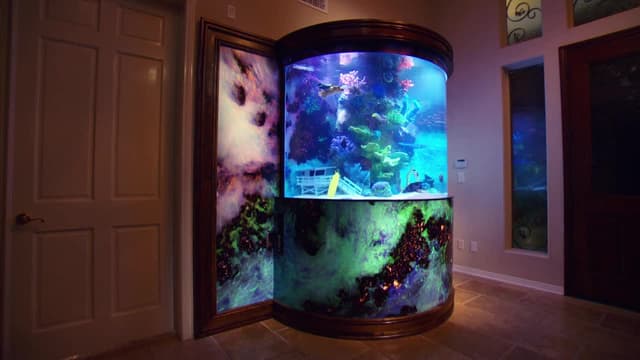 S09:E06 - The Hoff Gets Tanked