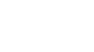 The Last Boy