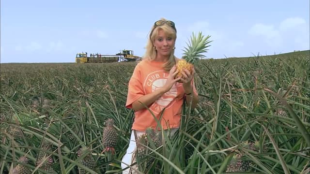 S04:E10 - Maui, Hawaii