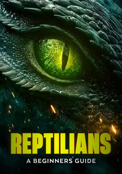 Reptilians: A Beginners Guide poster