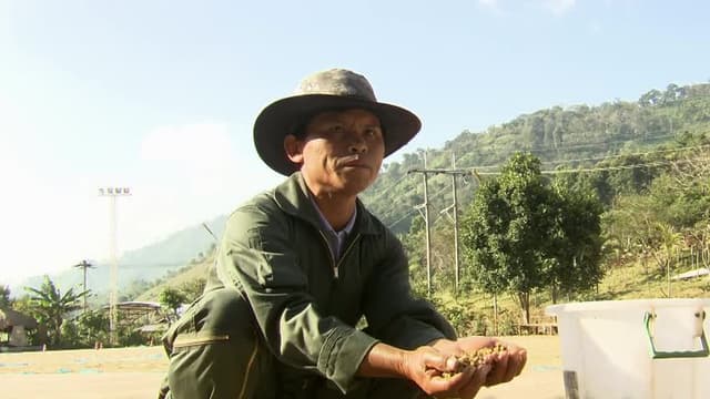 S10:E19 - Civet Coffee and More