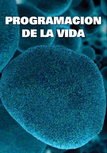 Programación de la vida (Doblado)