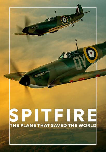 Spitfire: The Plane That Saved the World