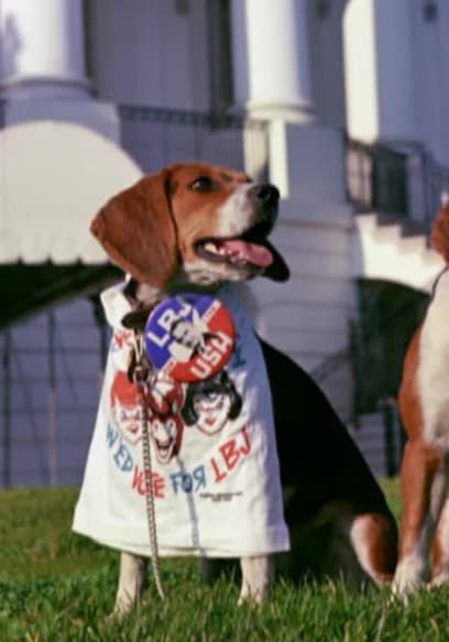 S01:E05 - All the Presidents' Pets poster