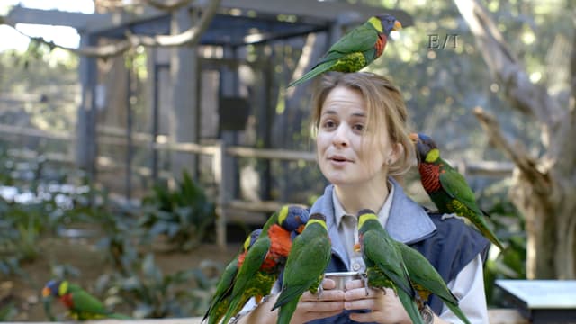 S01:E05 - Episodio 5