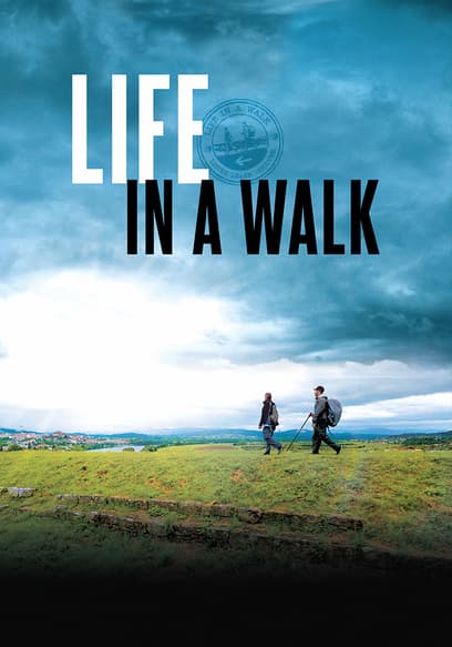 Life in a Walk poster