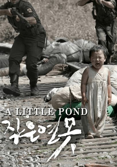 A Little Pond