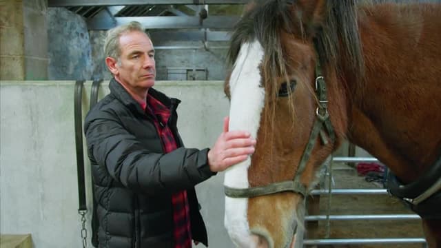 S01:E12 - North Nothumberland With Rosie Ramsey