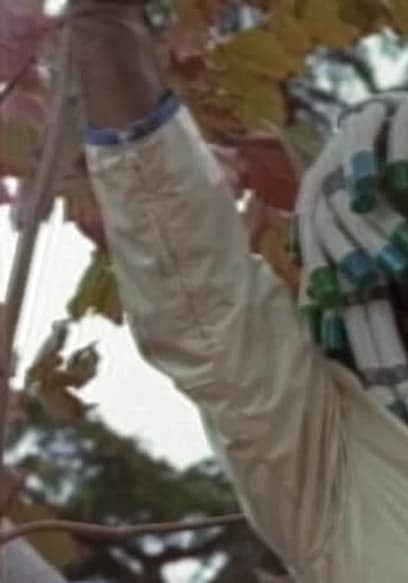 S01:E39 - Jo's Strange Change poster