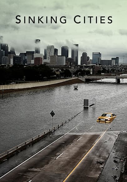 Sinking Cities