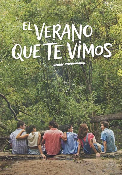 El Verano Que Te Vimos