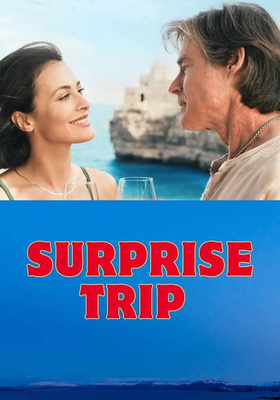 Surprise Trip poster