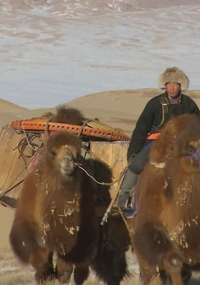 S01:E04 - Gobi Desert poster