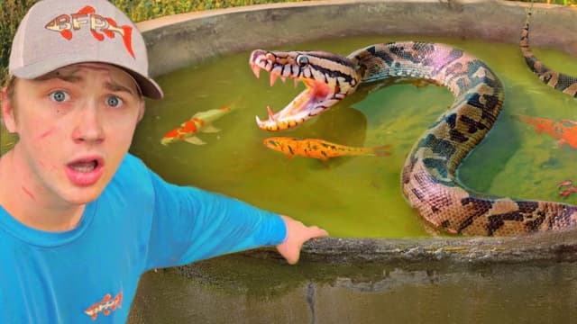 S04:E11 - Deadly Snake Ate These Fish!!
