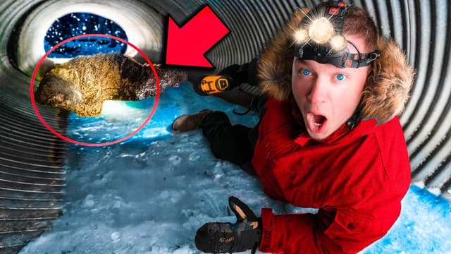 S01:E11 - Snowstorm Survival: Box Fort Edition!