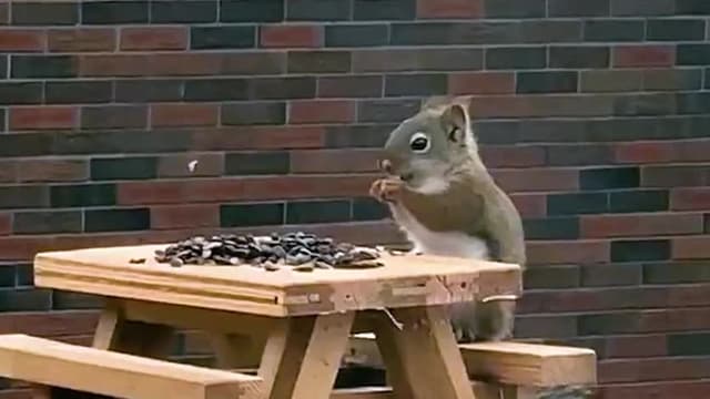 S01:E11 - Episode 11