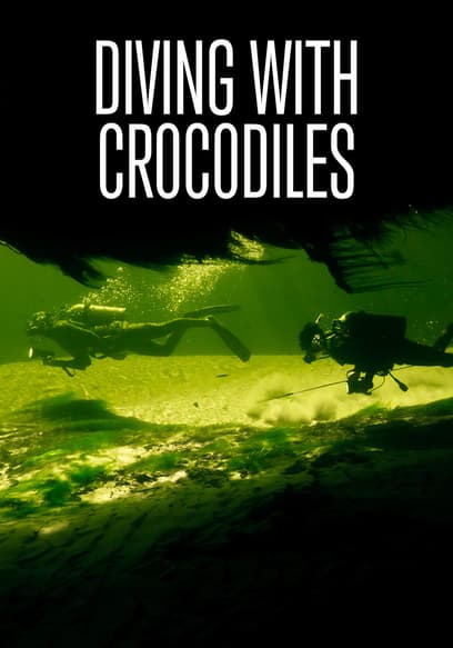 Diving with Crocodiles