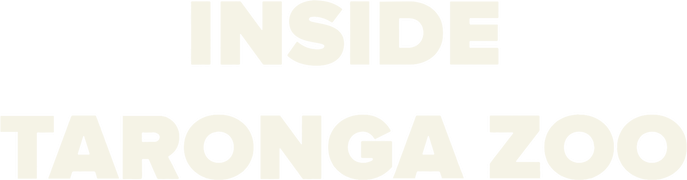 Inside Taronga Zoo