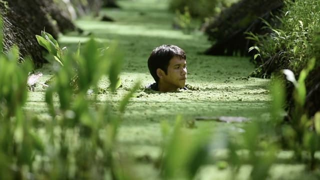 S01:E08 - Elephant Trunk Snakes: A Story of Life in a River