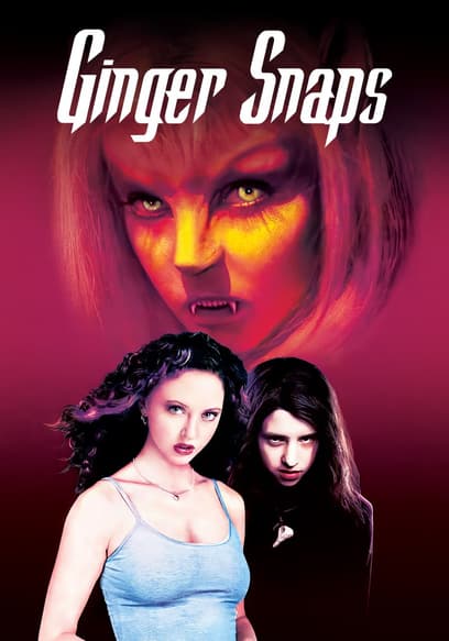 Ginger Snaps