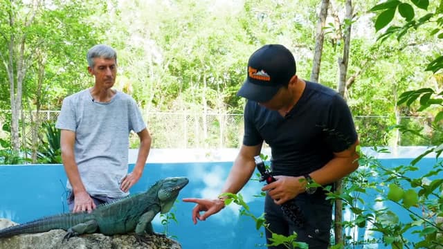 S04:E15 - Blue Iguana Fights Extinction