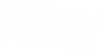 Bare Knuckle Brawler