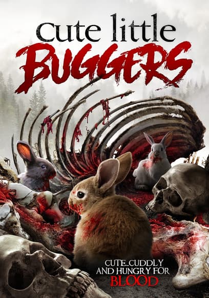 Cute Little Buggers