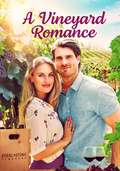 A Vineyard Romance poster