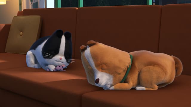 S03:E75 - Night of the Coo / Cheese Chase