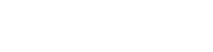 The Brink Of