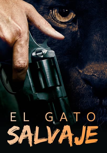 El Gato Salvaje