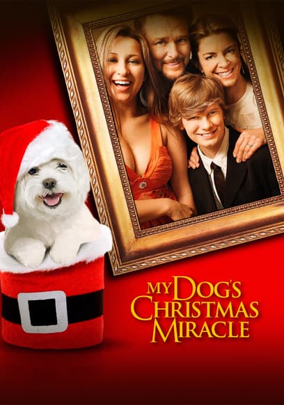 My Dog's Christmas Miracle
