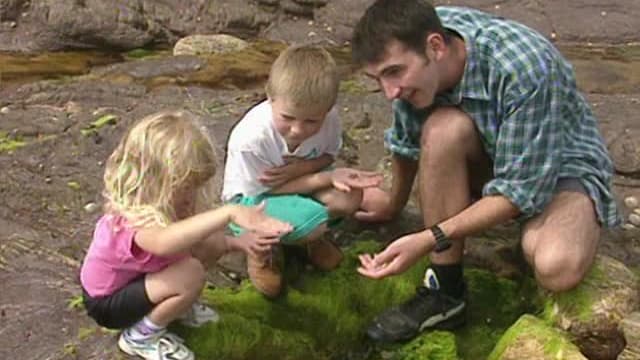 S01:E23 - Rock Pool Animals 3