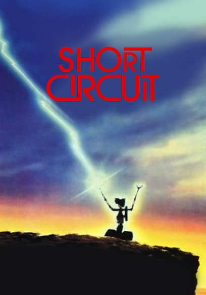 Short Circuit