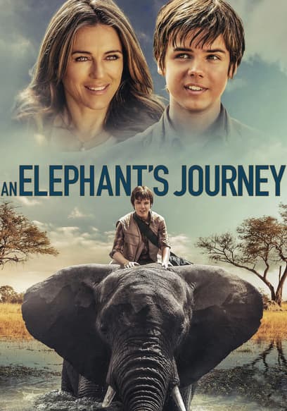 An Elephant's Journey