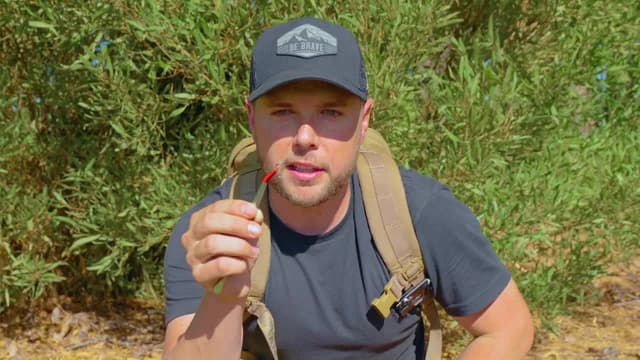 S09:E07 - Stung by a Bulldog Ant! / I Found a Batfish!